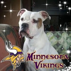 Meet your Posher, Gordon